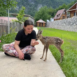 Gospodarstwo agroturystyczne Thethi Paradise & Restaurant 